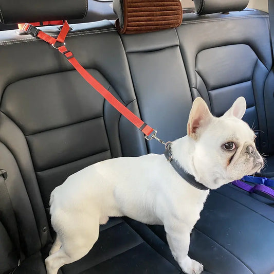 Ultimate Pet Safety Seatbelt – Secure, Comfortable, & Tangle-Free Travel for Your Dog