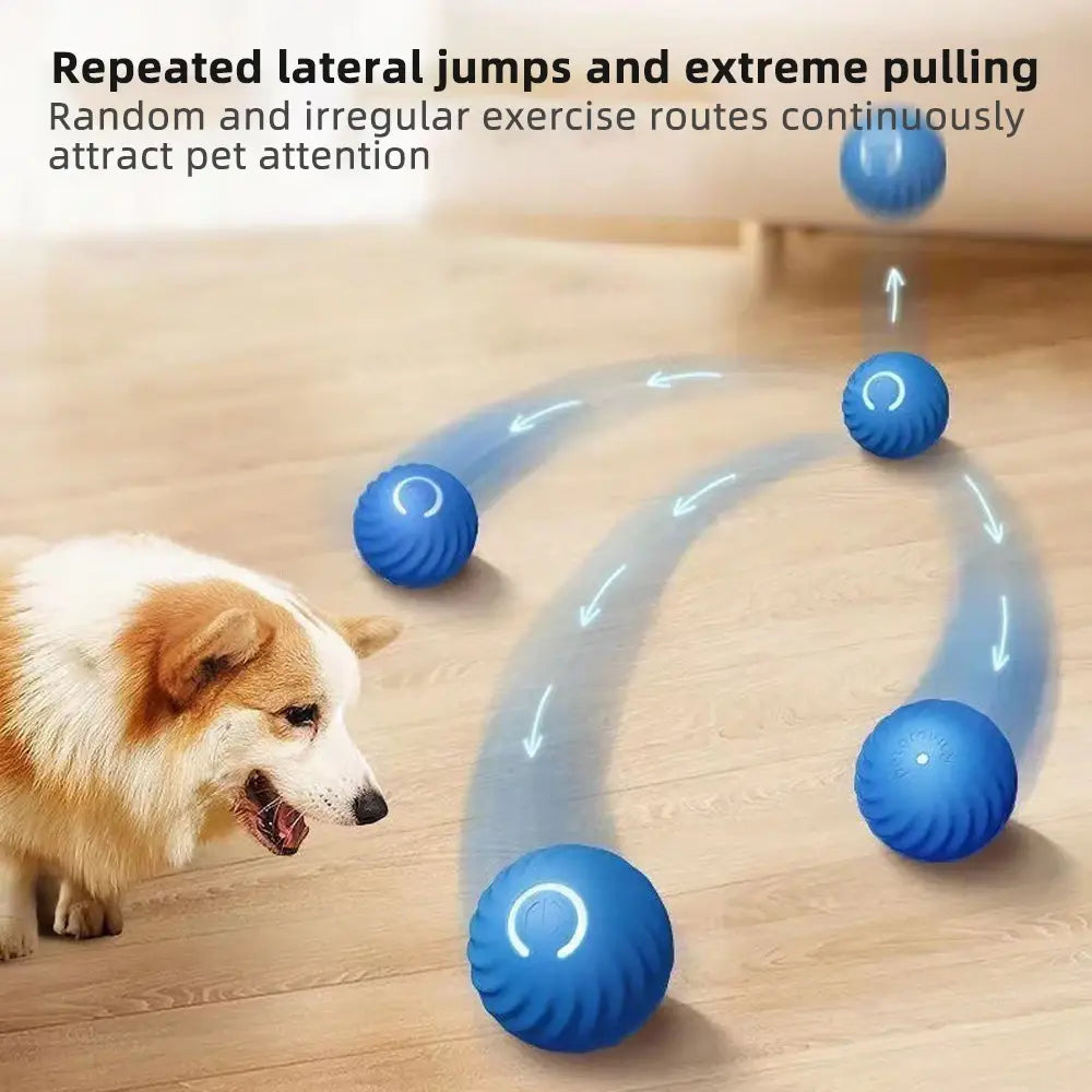 PlayPaw smart Ball