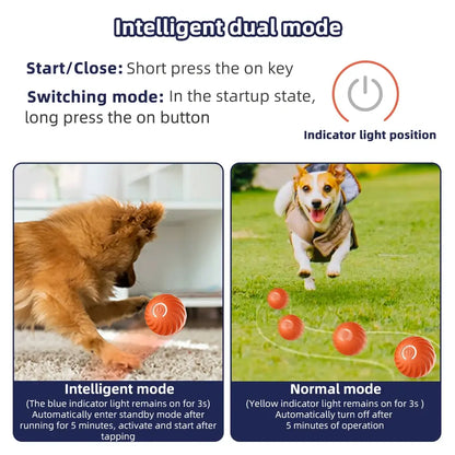 PlayPaw smart Ball