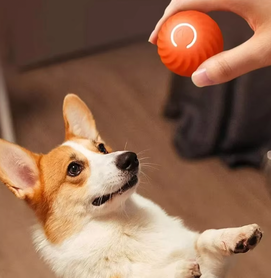 PlayPaw smart Ball