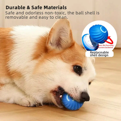 PlayPaw smart Ball